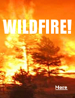News and commentary about fighting wildland fire.
